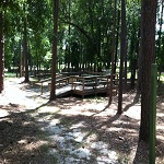 naturetrailpicnicpier